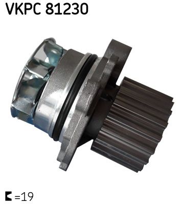 SKFVKPC 81230